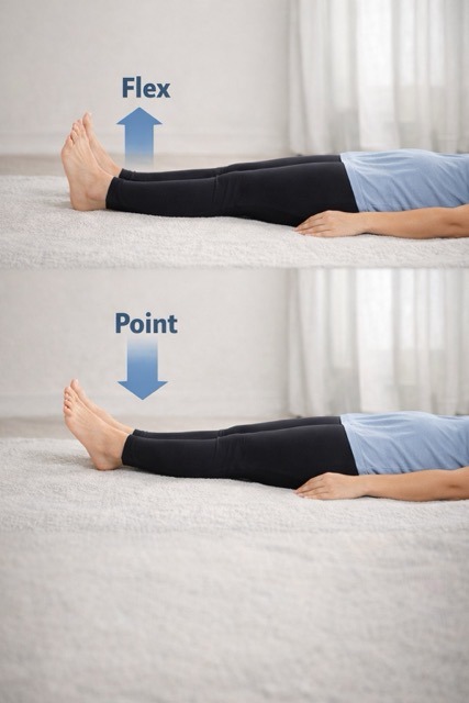 Ankle-toe movements tutorial
