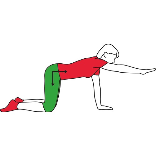 Back Stabiliser Exercise