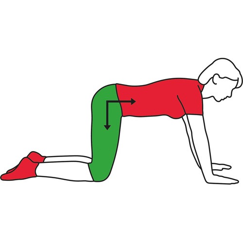 Deep Stomach Tone Exercise