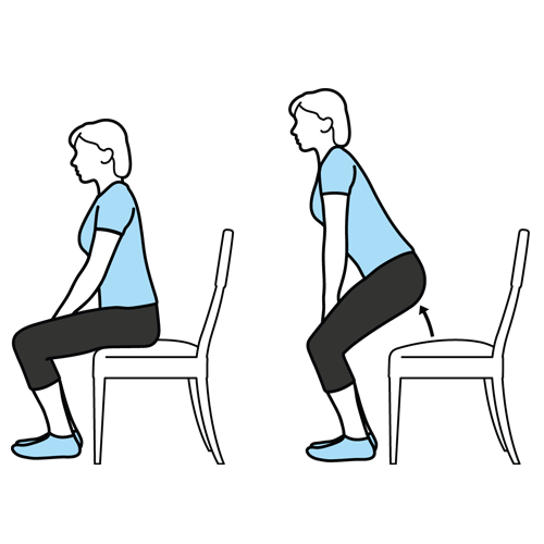 Sit to Stand Exercise