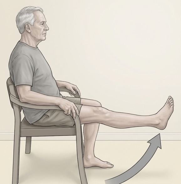 Long Arc Quads