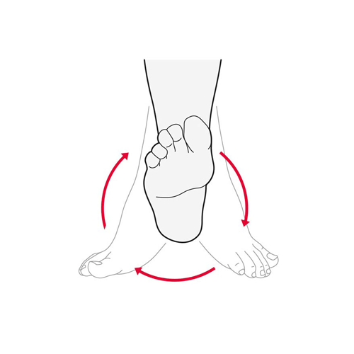 Ankle Circles