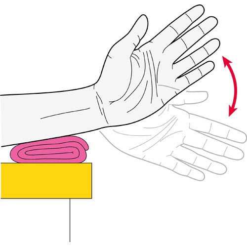Hand Wave
