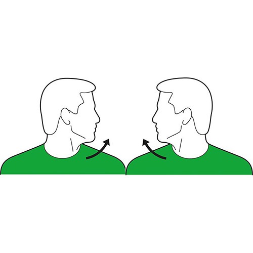 Head Turn Exercise