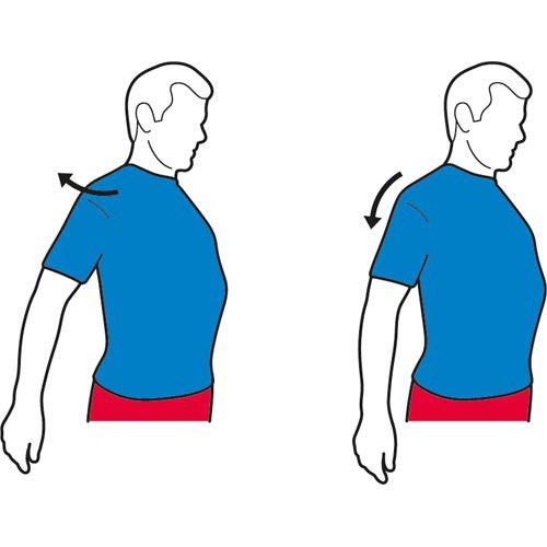 Shoulder Blade Squeezes